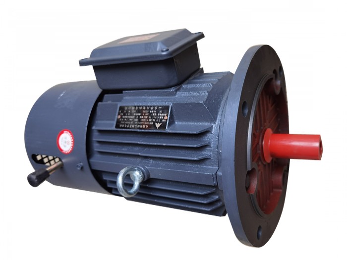 YEJ3系列電磁制動(dòng)電動(dòng)機